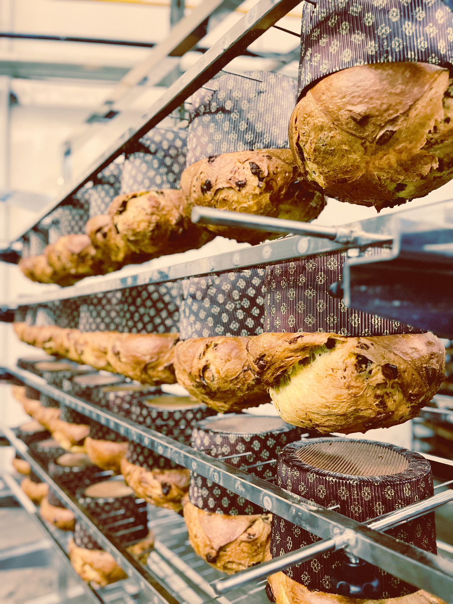 panettone confraternização empresa