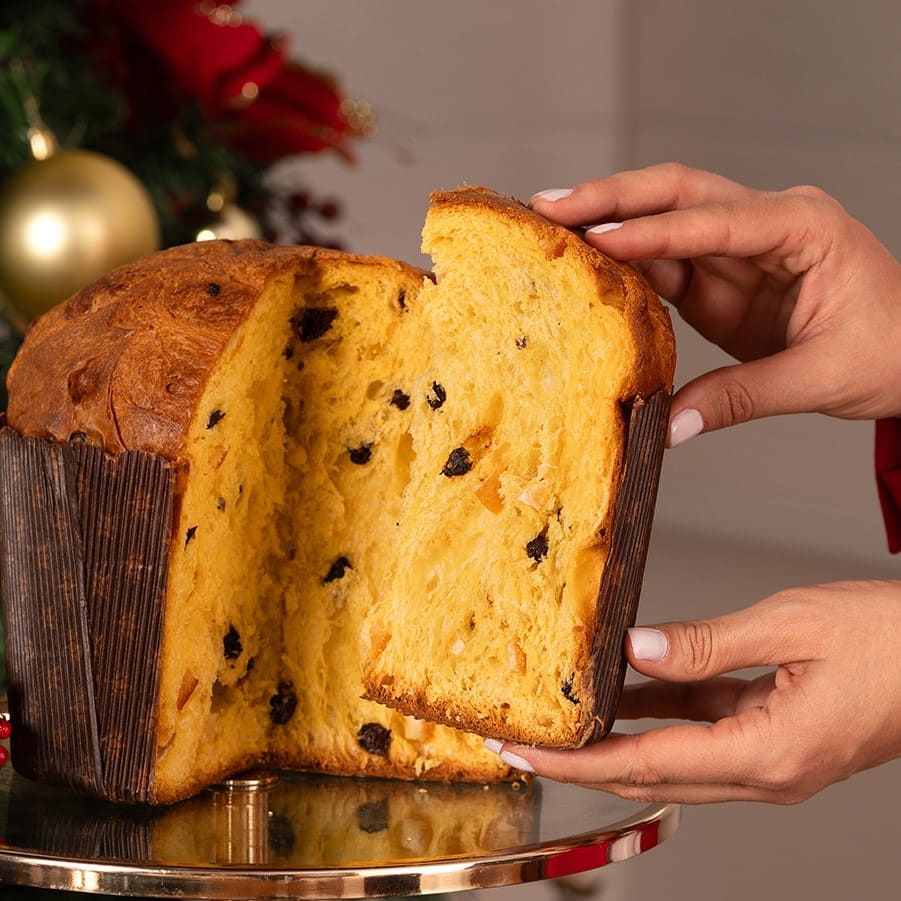 Panettone artesanal Légium com fermentação natural e massa madre